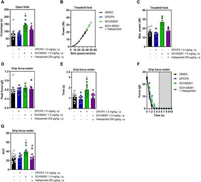 Adenosine A2A and dopamine D2 receptor interaction controls fatigue resistance